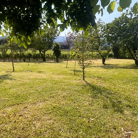 Pazo Carballo