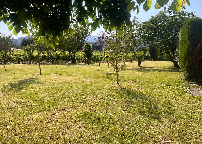 Pazo Carballo